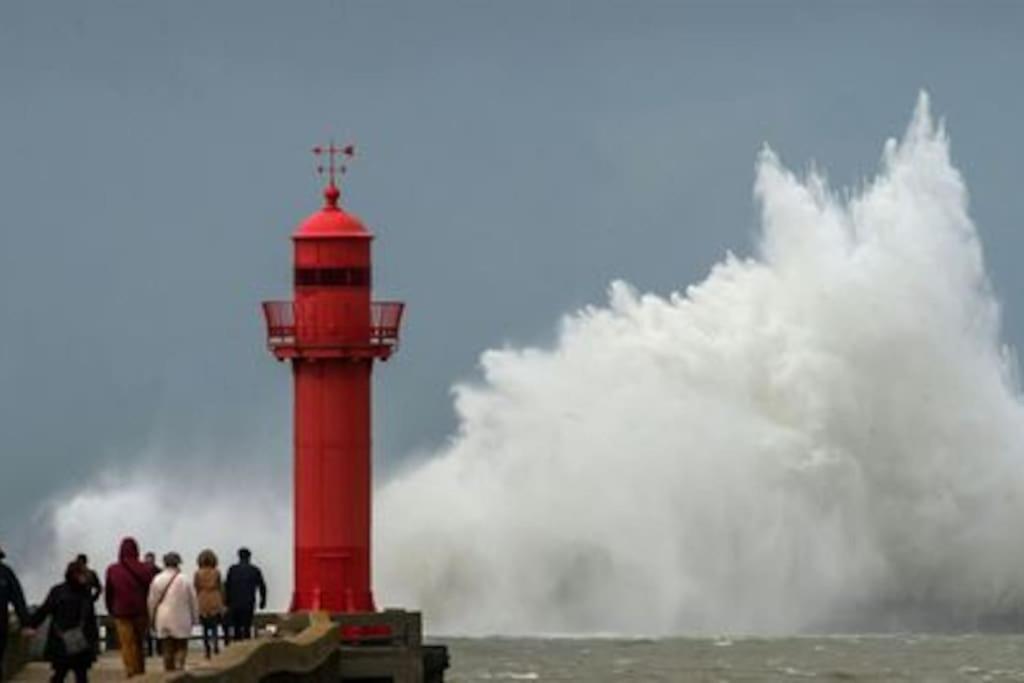Апартаменти Petit Nid Sur La Cote Булонь-сюр-Мер Екстер'єр фото